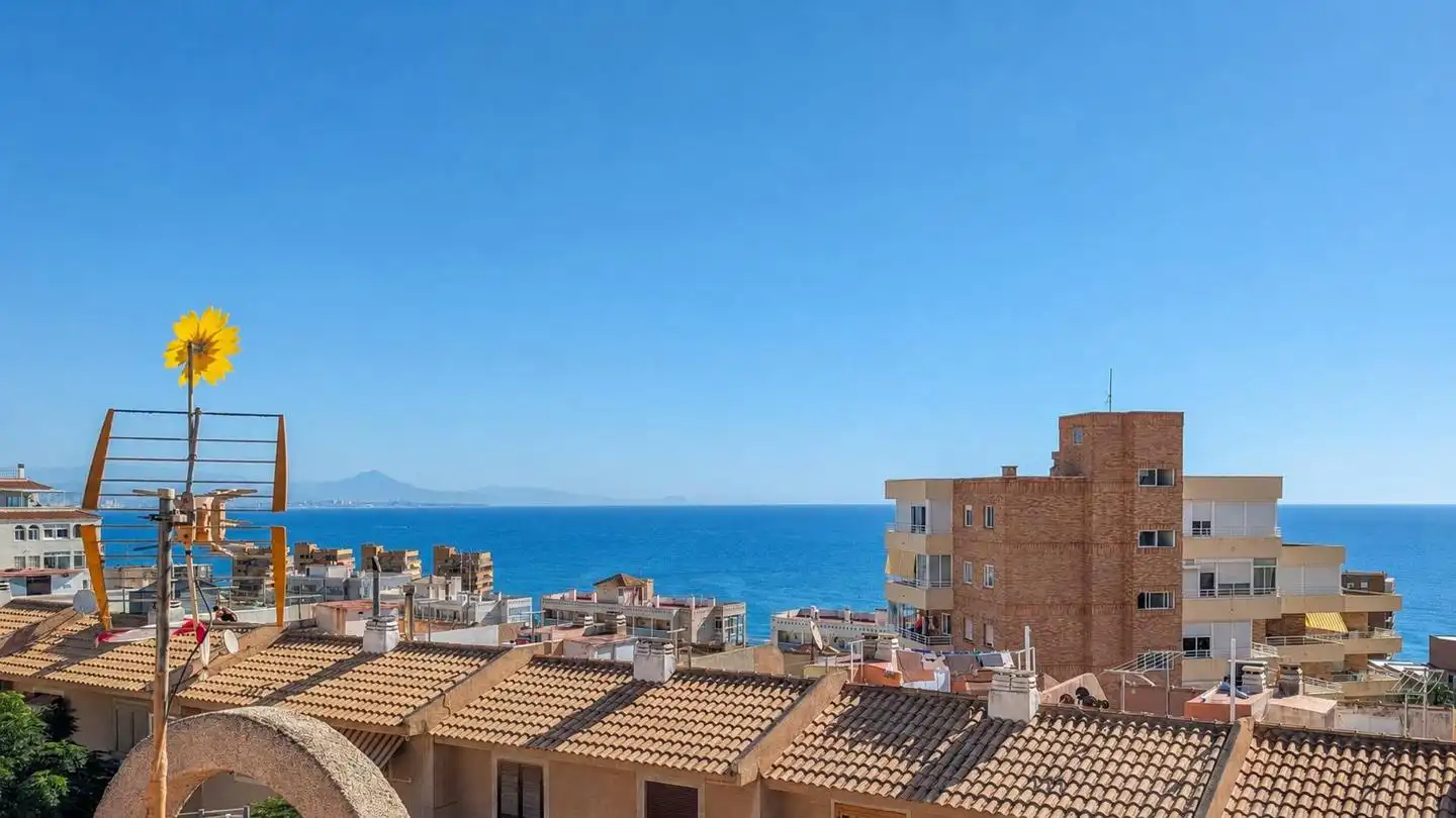 Exterior view of Detached homes for sale in Elche / Elx  with Terrace, Storage room and Swimming Pool