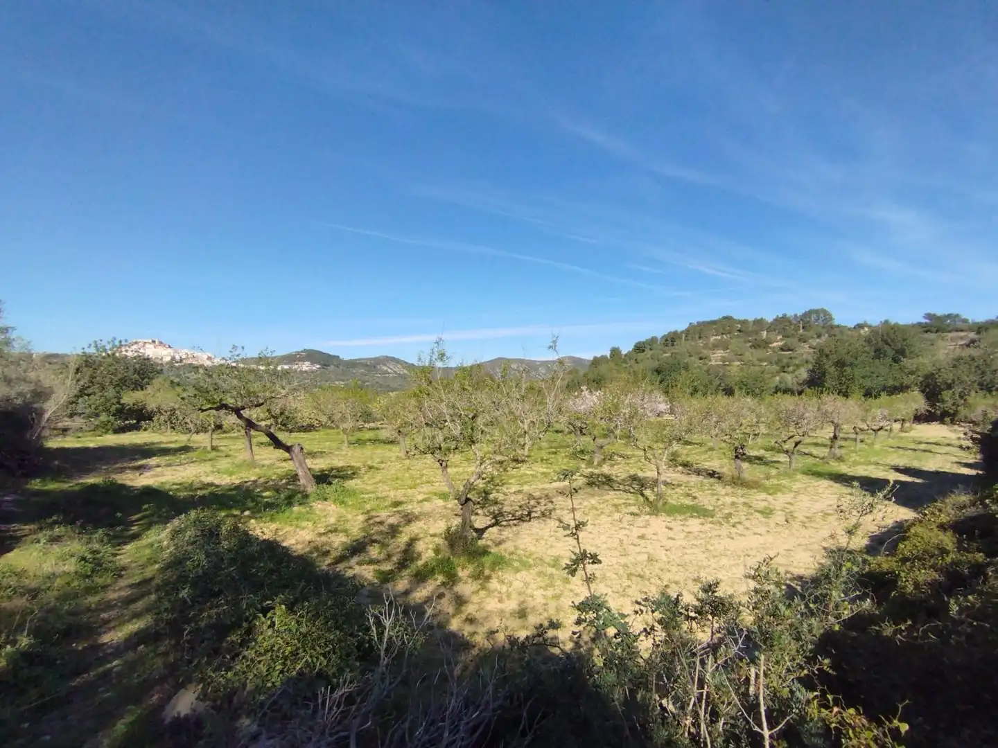 Terreny residencial en venda a RENS, imagen 10