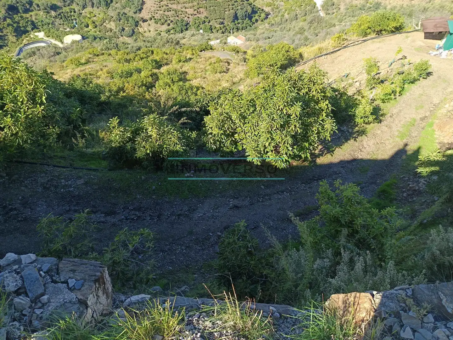 Terreny rústic en venda a Sayalonga, imagen 6