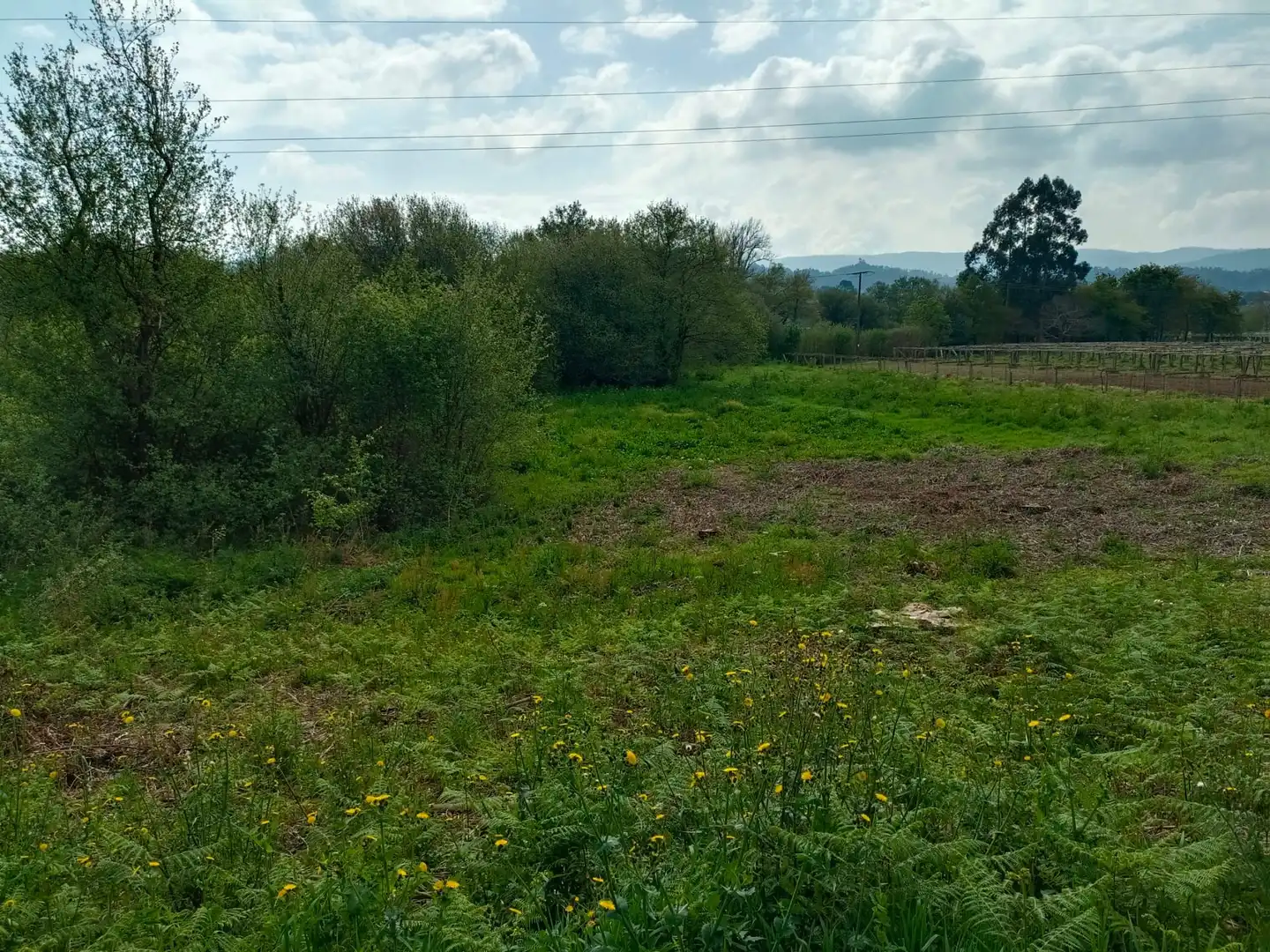 Terrenos y solares en venta en Ribadumia, imagen 11