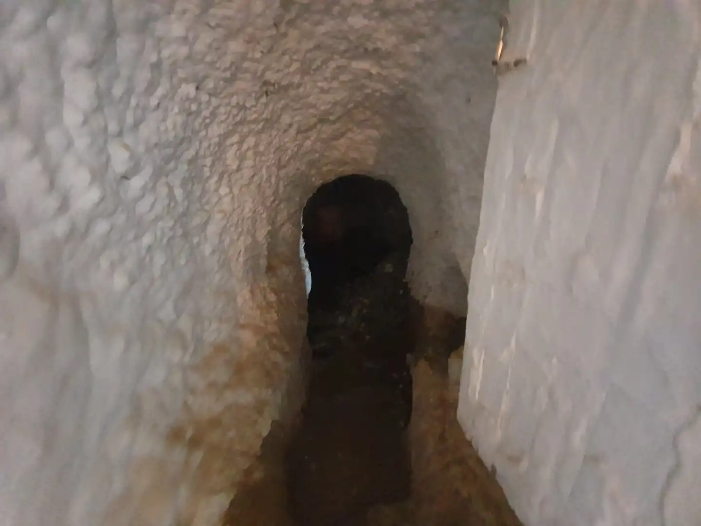 Casa o xalet en venda en Guadix