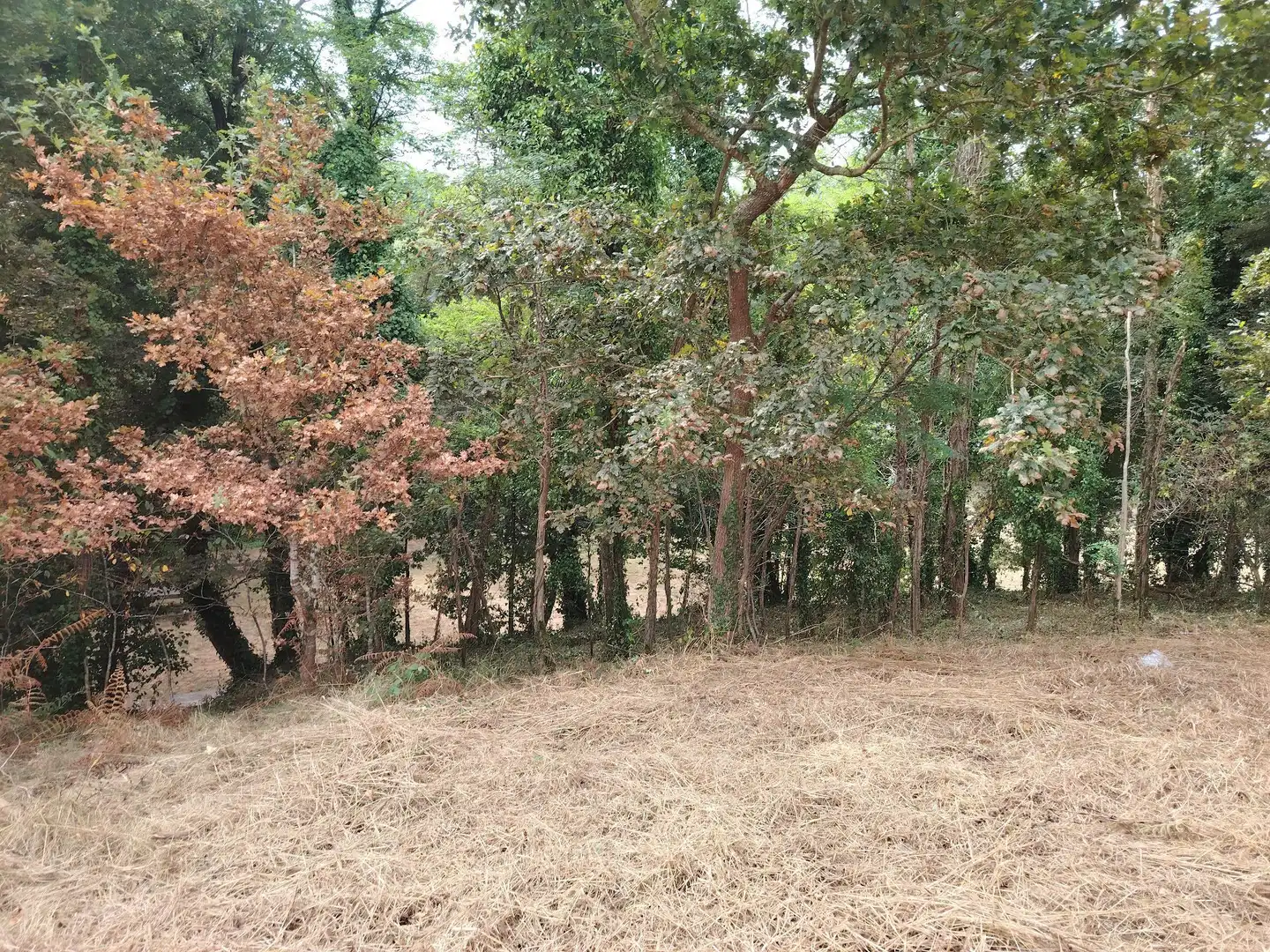 Terreni e lotti in vendita a de Lapido, imagen 3