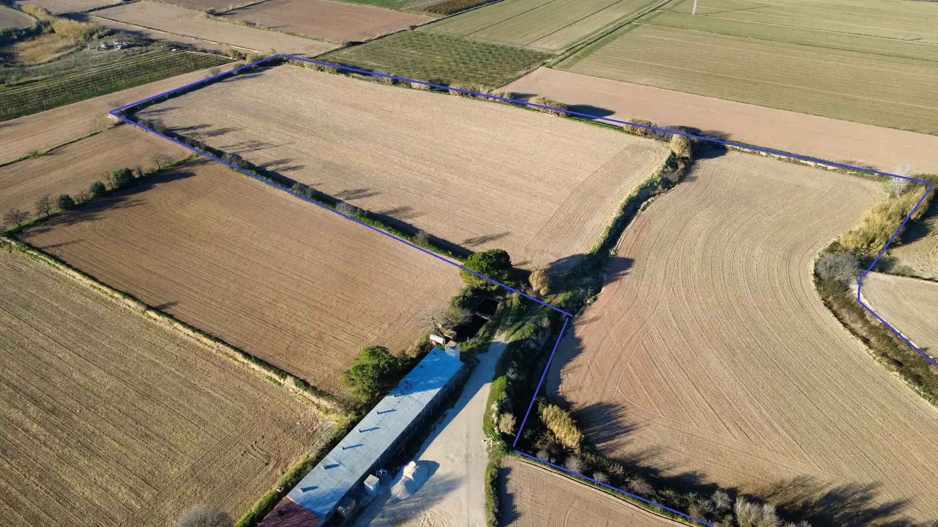 Terreno rustico in vendita a Castelldans, imagen 3