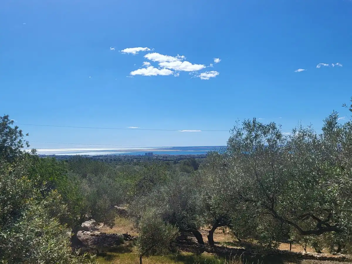 Country house for sale in Bassa del mig, imagen 28