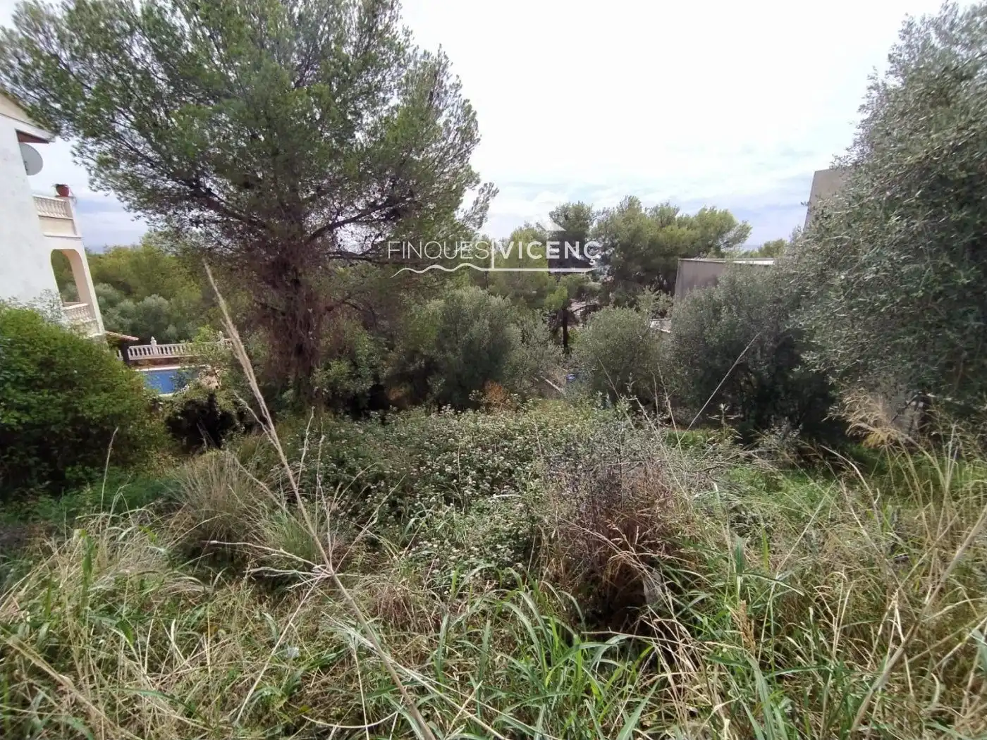 Terreno rustico in vendita a ANTILLES, imagen 5