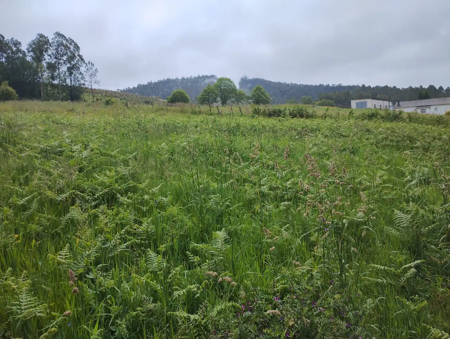 Terrenys i solars en venda a Moeche, imagen 5