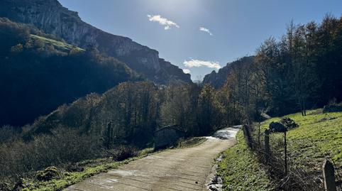 Foto 2 de Casa o xalet en venda a Miera - Miera, Miera, Cantabria