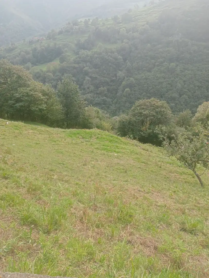 Terreno rustico in vendita a Onís, imagen 2