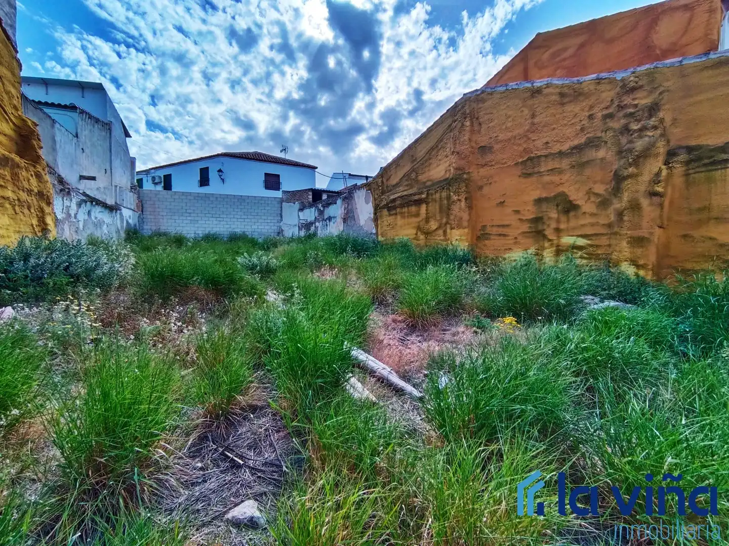 Terreny residencial en venda a Fuente de Piedra, imagen 6