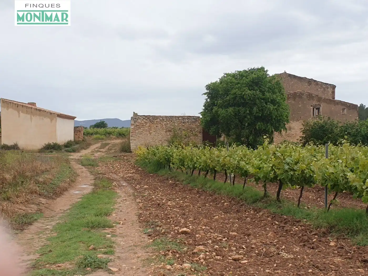 Finca rústica en venda en El Pla de Santa Maria