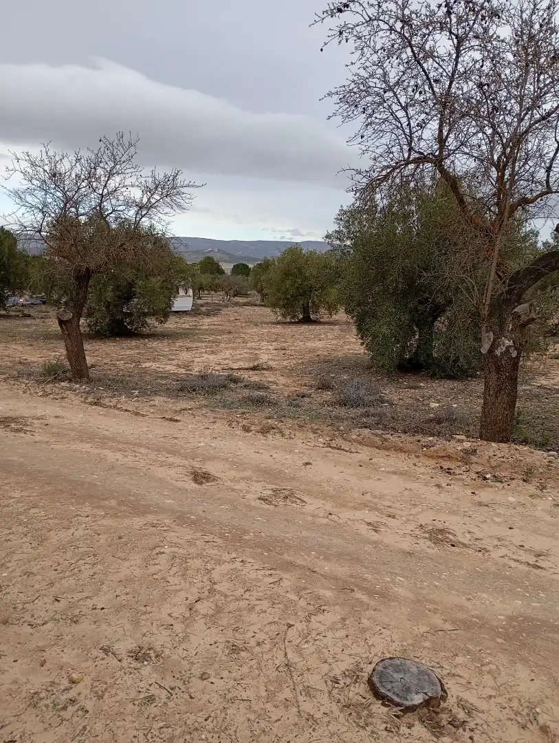Terreny rústic en venda a Biar, imagen 3