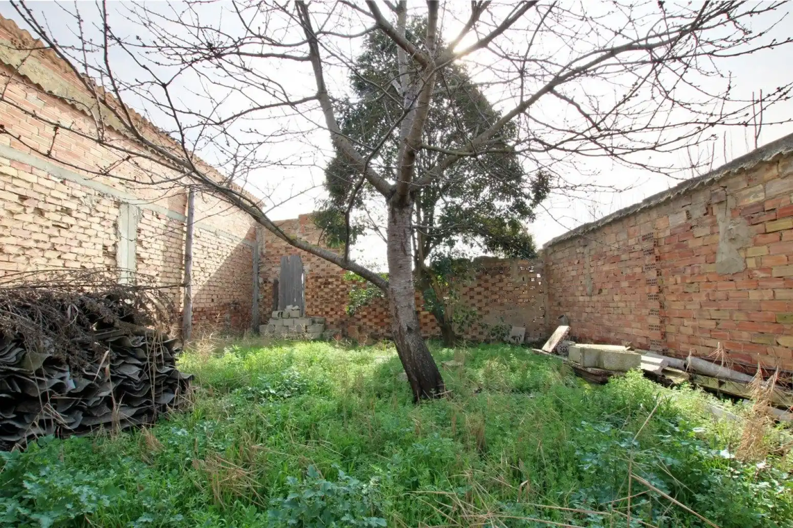 Terreno rustico in vendita a Marcilla - Carretera DE FUNES, imagen 4
