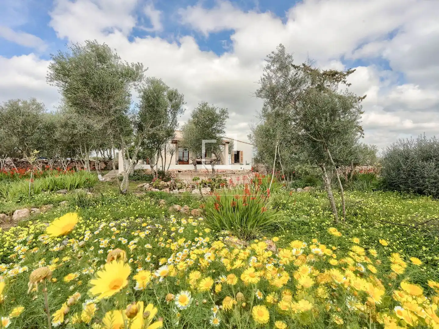Casa rústica con jardín en venta en Llucmajor pueblo, imagen 31