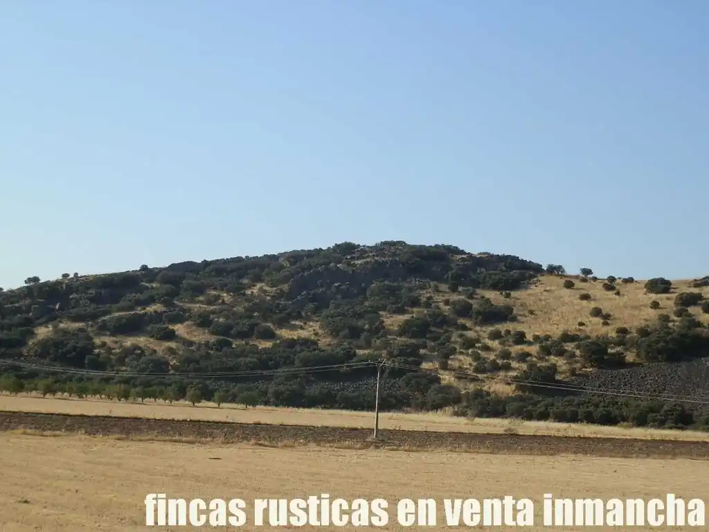 Terrenys i solars en venda a Almagro, imagen 14