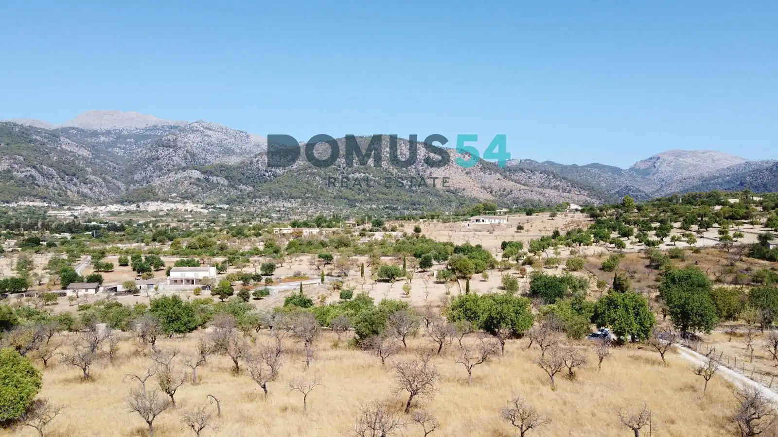 Land for sale in Selva
