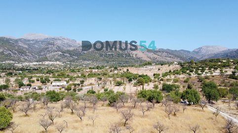 Exclusiva finca rústica con proyecto y licencia en Moscari, Selva