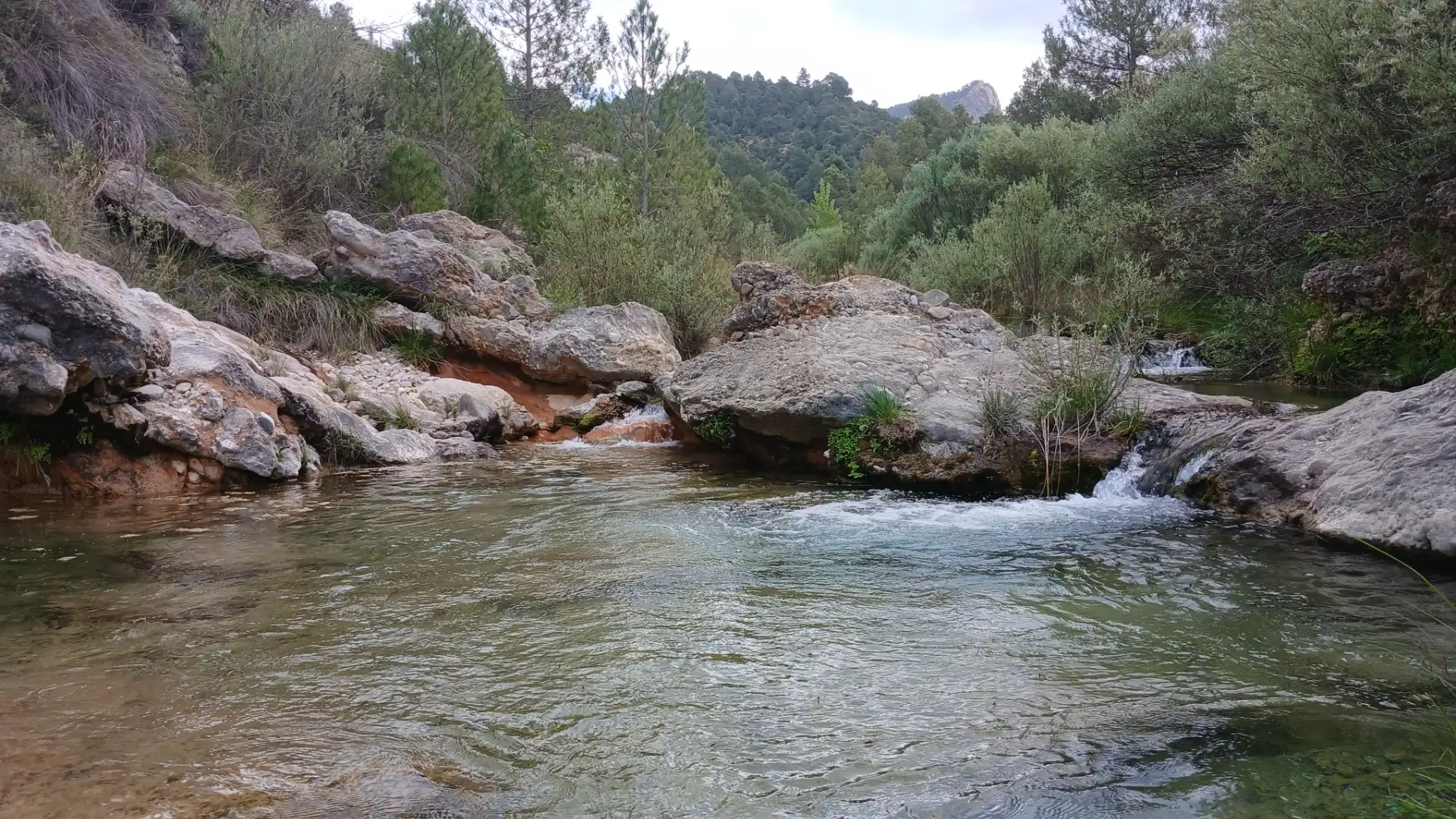 Swimming pool of Land for sale in Beceite