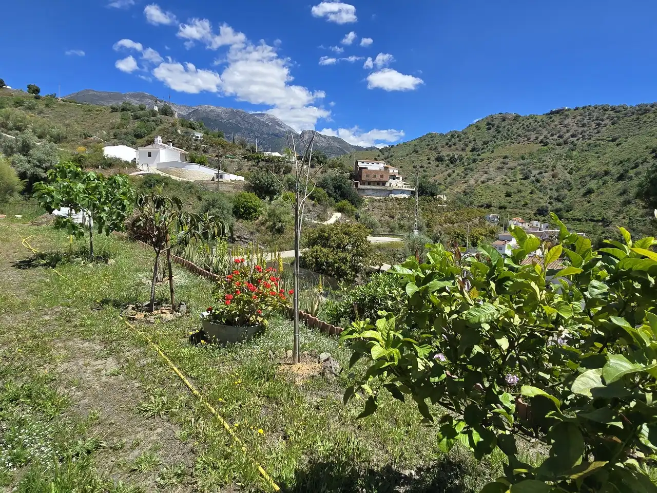 Maison à vendre à Viñuela, imagen 4