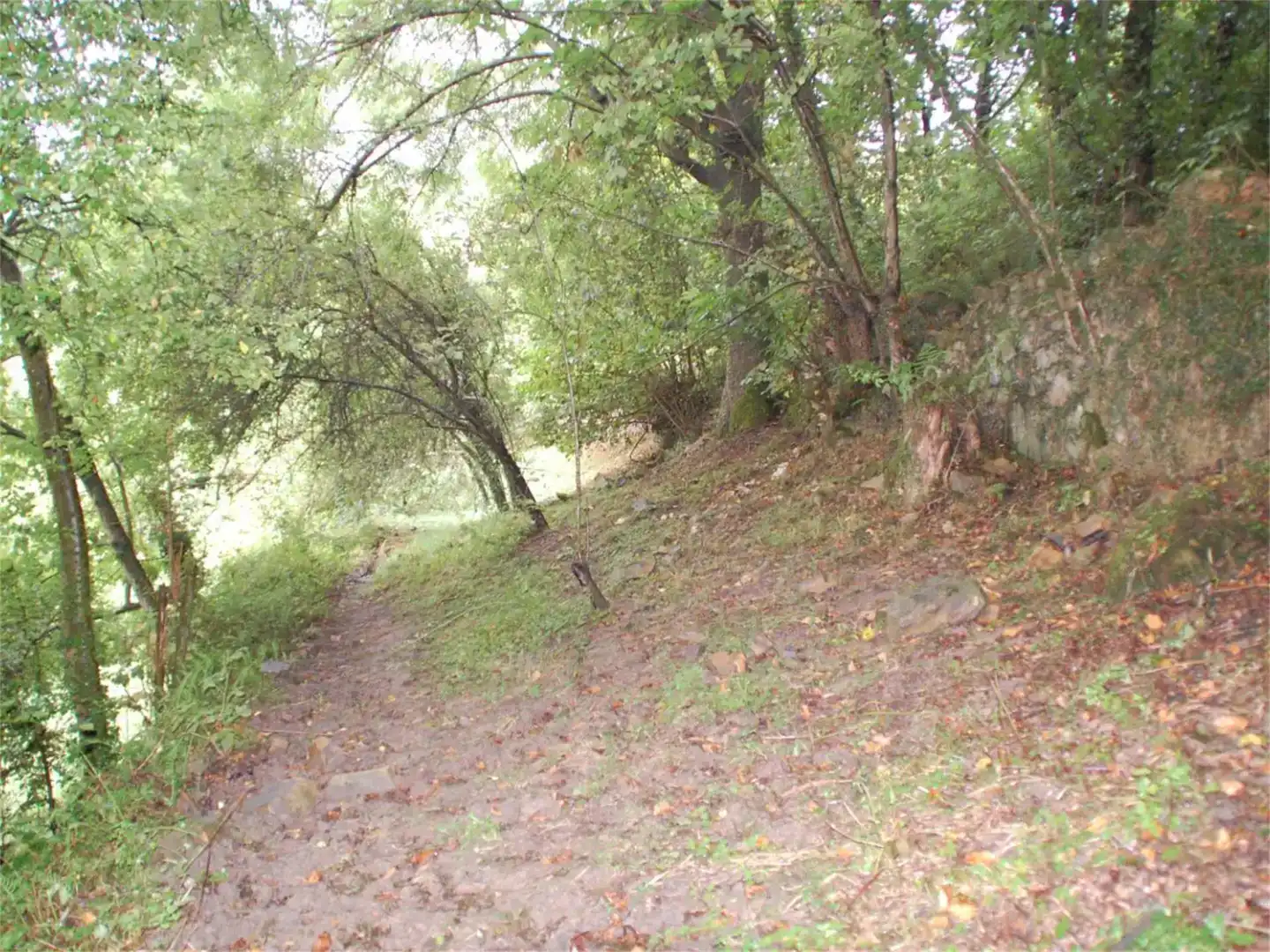 Finca rústica en venda en Cabrales