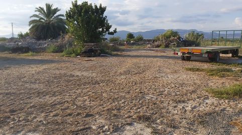FANTASTICO TERRENO EN CREVILLENTE, ALICANTE, COSTA BLANCA SUR, imatge 2