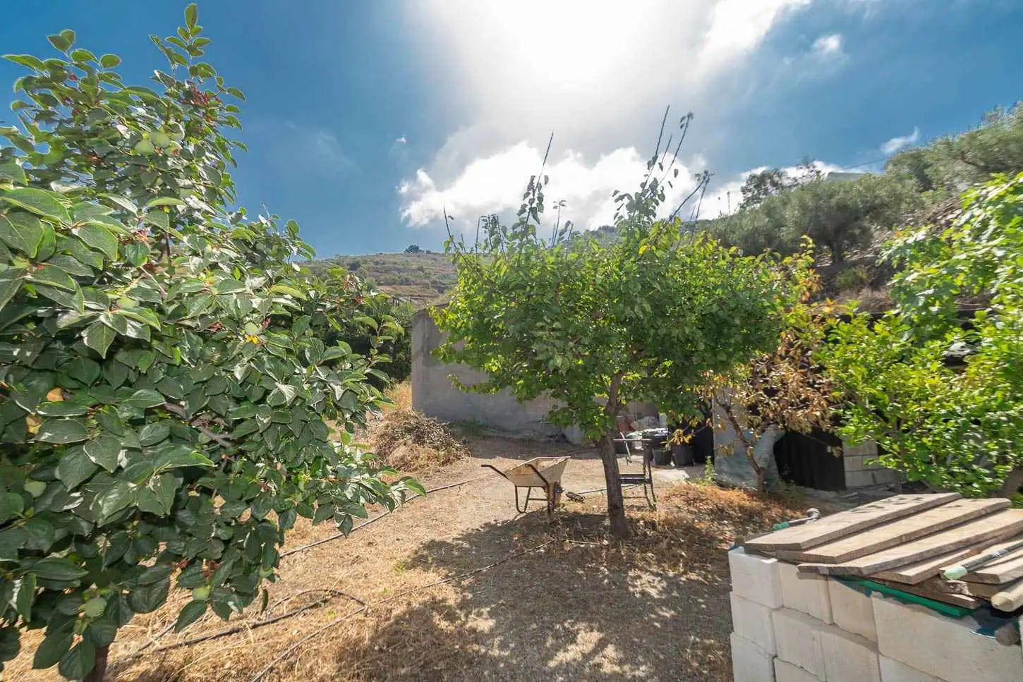 Maison avec piscine à vendre à Cómpeta, imagen 16