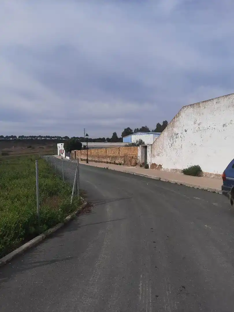 Vista exterior de Casa adosada en venda en Guillena amb Balcó