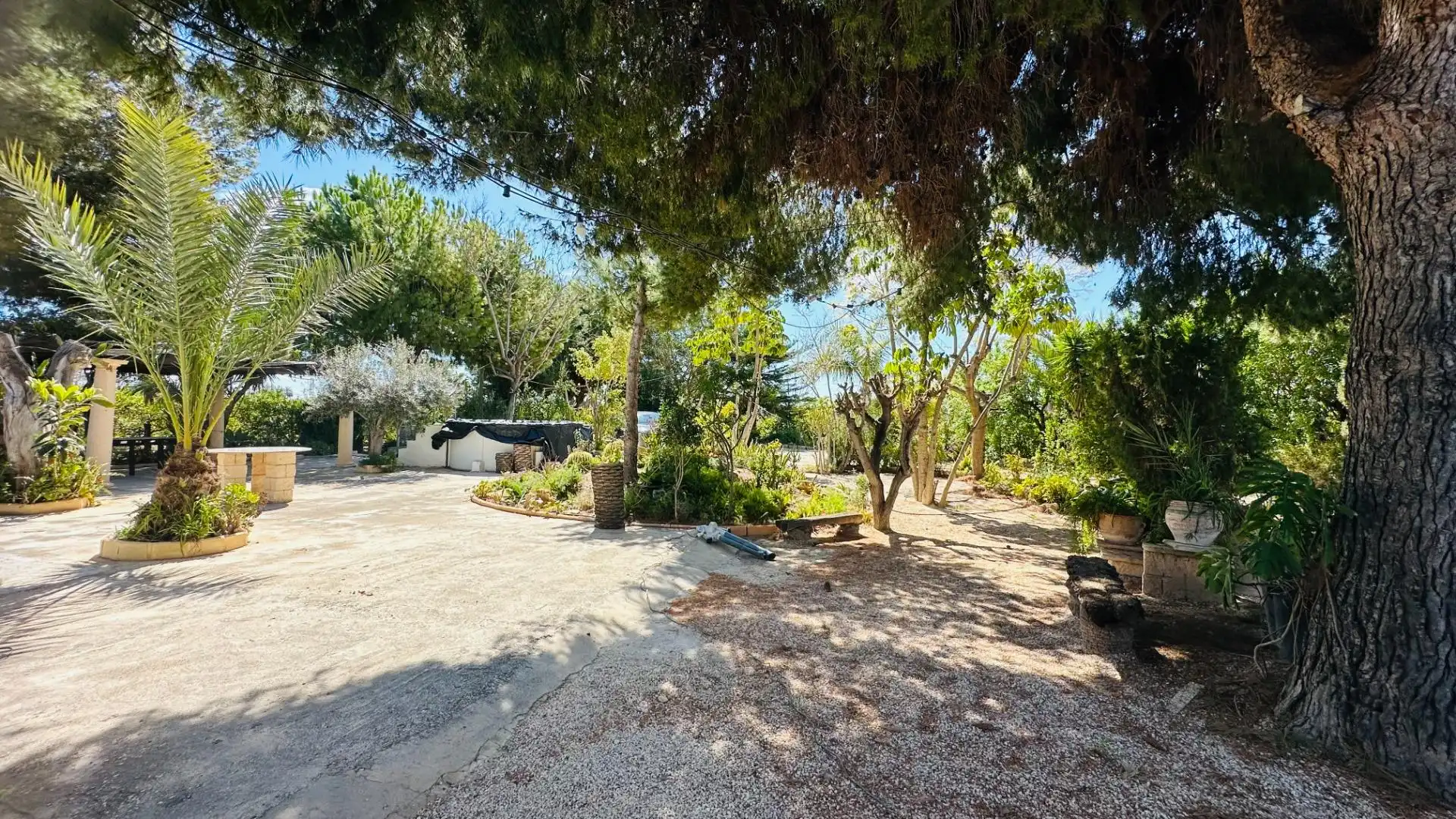Jardí de Casa o xalet en venda en Elche / Elx amb Jardí privat, Traster i Piscina