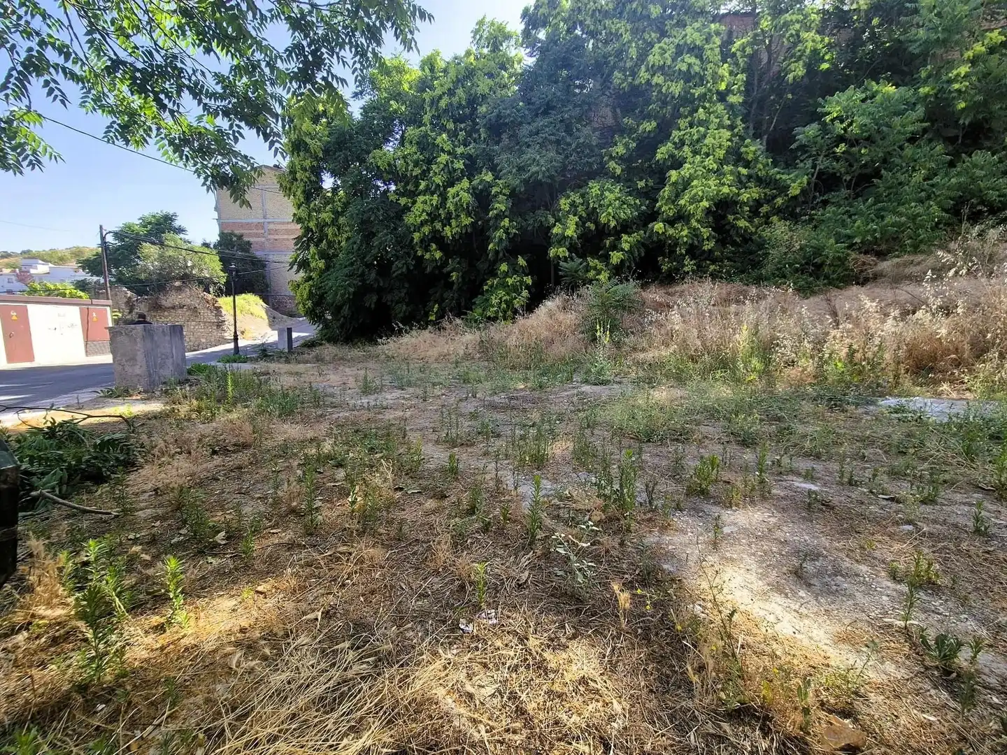 Terreno residencial en venta en Algarinejo, imagen 2