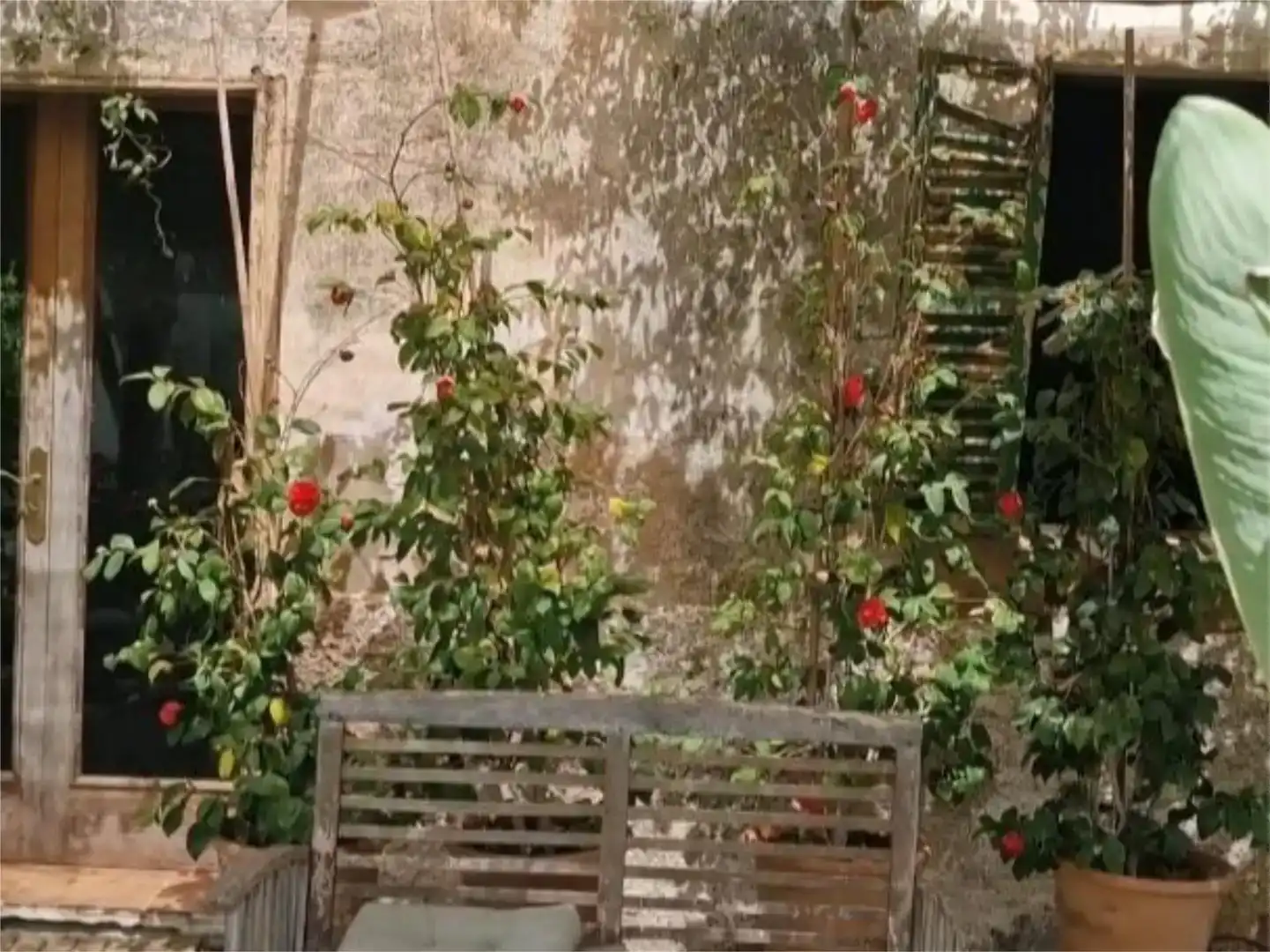 Jardín de Piso en venta en Calvià pueblo