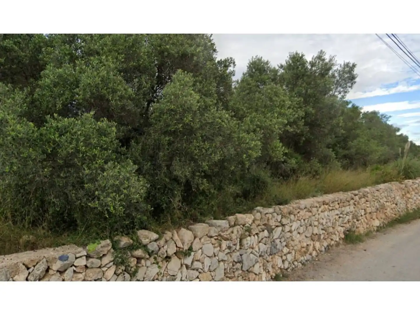 Terrain rustique à vendre à Camino B-del Llorito, imagen 4