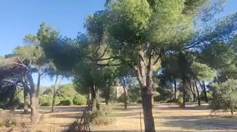 Foto 2 de Residencial en venda a Camino Huerto, Zona Monte El Pilar, Majadahonda