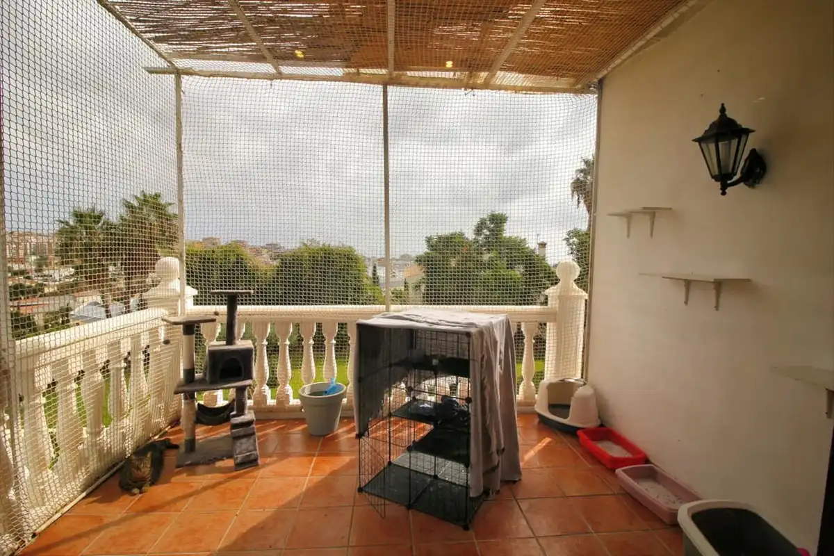 Chalet con piscina en venta en Avenida Manuel Mena Palma 50, imagen 35