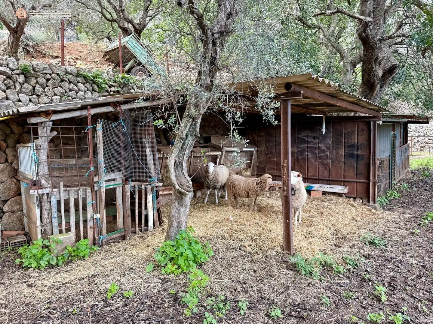 Casa rústica en venta en Camino Fornalutx 1, imagen 20