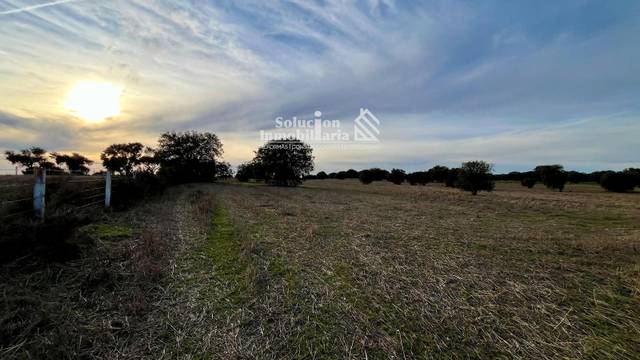 Terreno en Venta en Zamayón