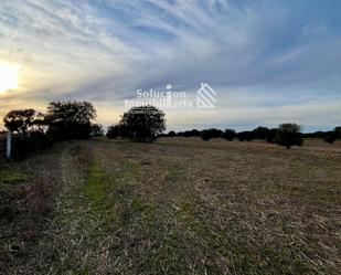 Land for sale in Zamayón