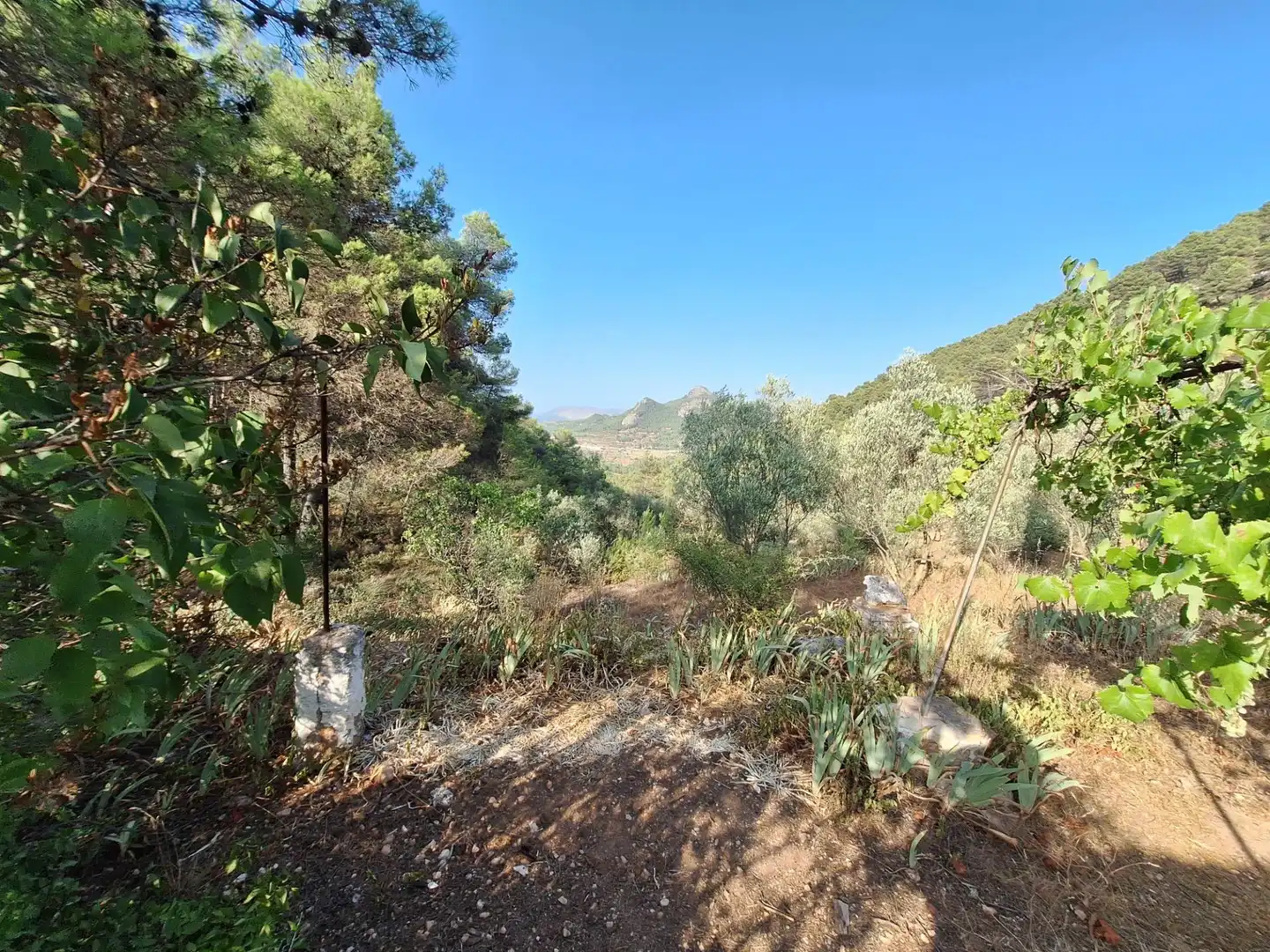 Finca rústica en venda en Alcoy / Alcoi amb Traster i Moblat