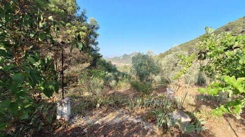 Foto 3 de Finca rústica en venda a Partida Sentbenet Baix, Centre - Zona Alta, Alcoy / Alcoi