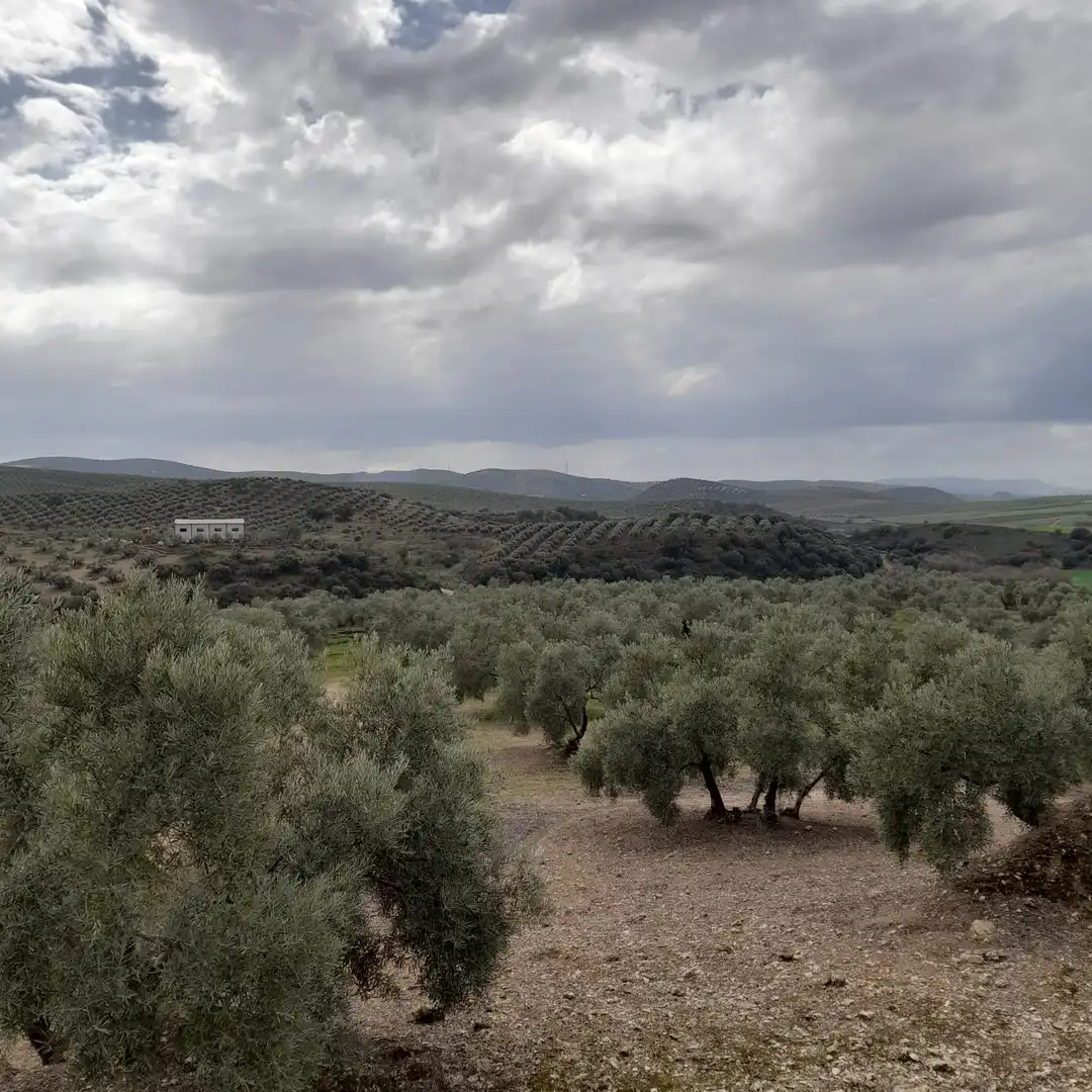 Finca rústica en venda en Encinas Reales