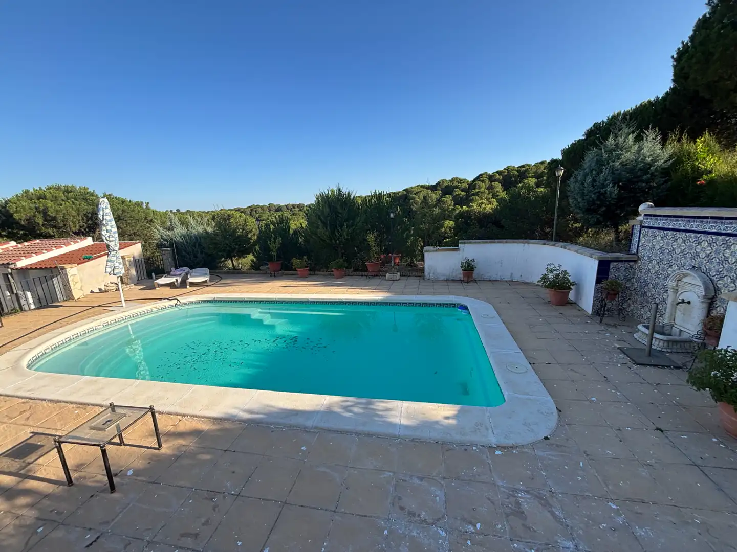 Piscina de Finca rústica en venta en Andújar con Aire acondicionado, Jardín privado y Piscina