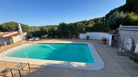 Viña en zona Alcaprrosa-Dehesa El Pinar, imatge 5