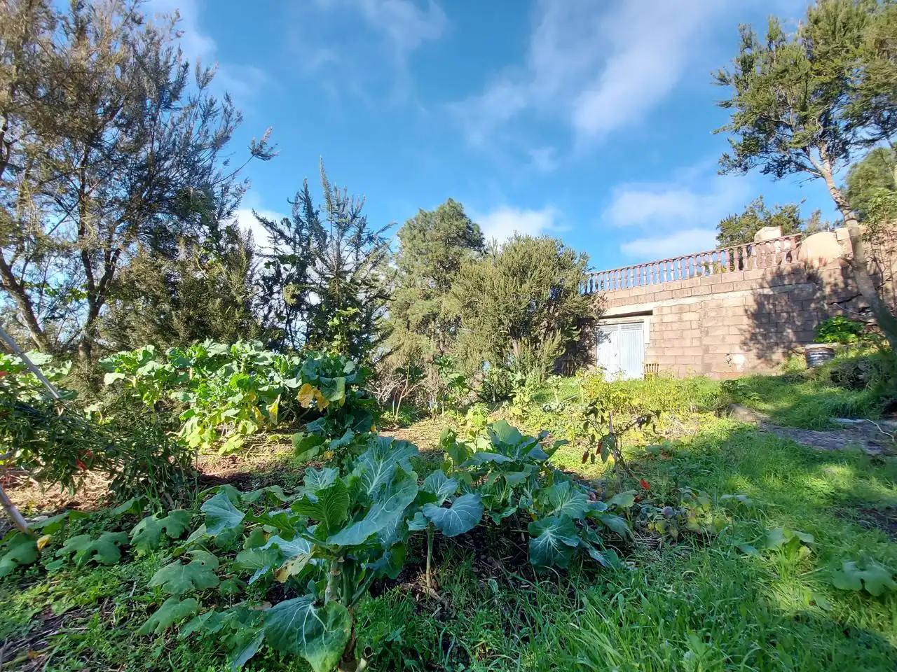 Maison avec jardin à vendre à El Tanque, imagen 15