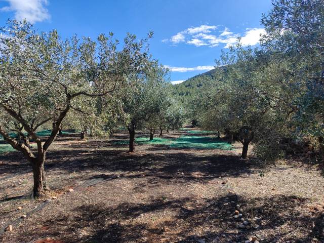 Terreno en Venta en Carrer del Pou, 0 en Parcent