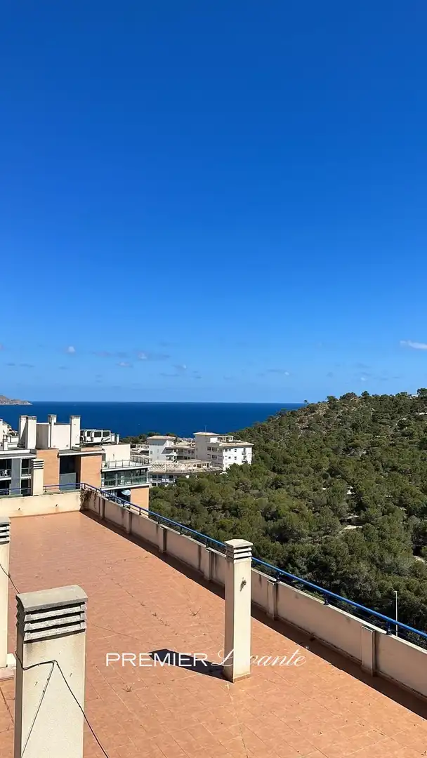 Exterior view of Attic for sale in Villajoyosa / La Vila Joiosa  with Air Conditioner, Heating and Terrace