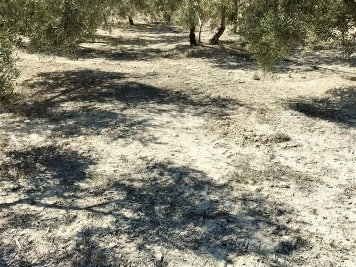 Terreno en venta en Huesa