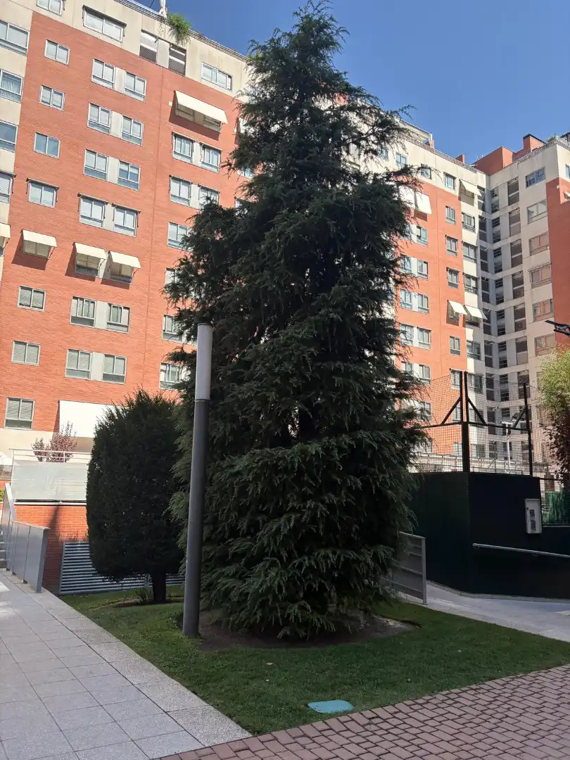 Exterior view of Flat for rent in Madrid  with Air Conditioner, Heating and Storage room