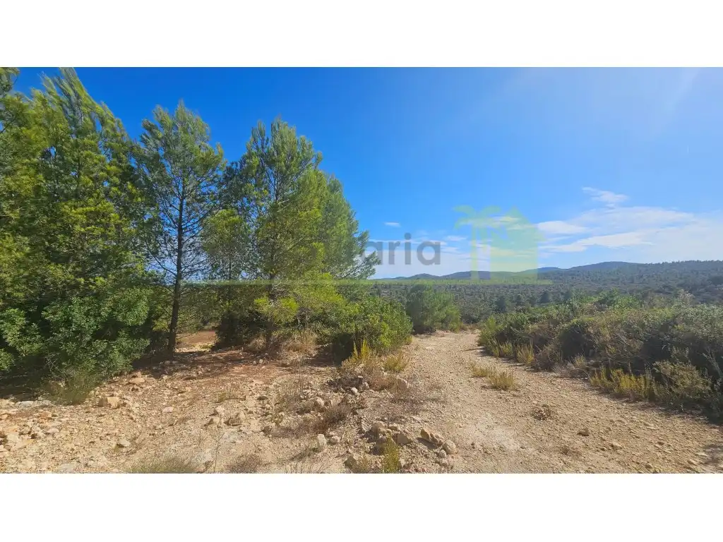 Rural land for sale in Poligono 37 Paraje 351 T Cerver, imagen 5