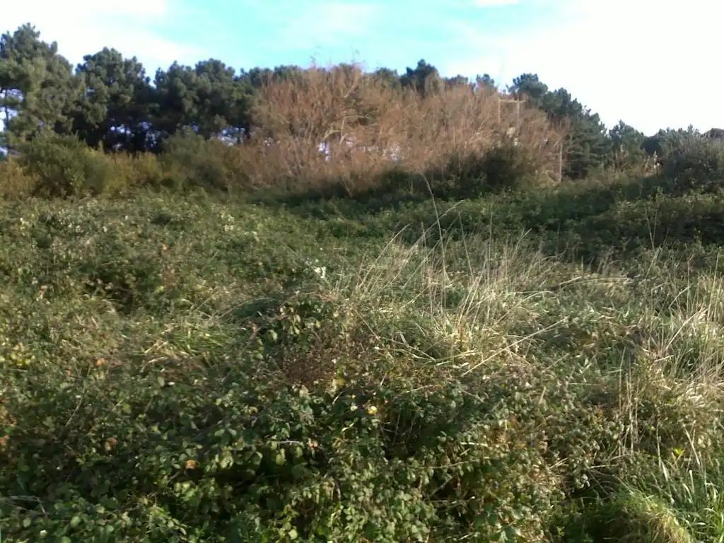 Wohnbaugrundstück zum Verkauf in Santa María de Getxo, imagen 4