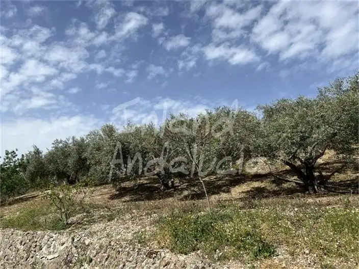 Casa rústica en venda a Castillo de Locubín, imagen 16