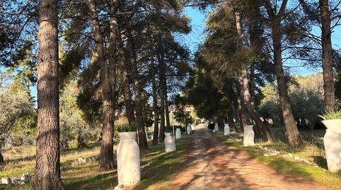 Photo 2 of Country homes for sale in Carretera Madrid Toledo, Buenavista - Valparaíso - La Legua,  Toledo Capital