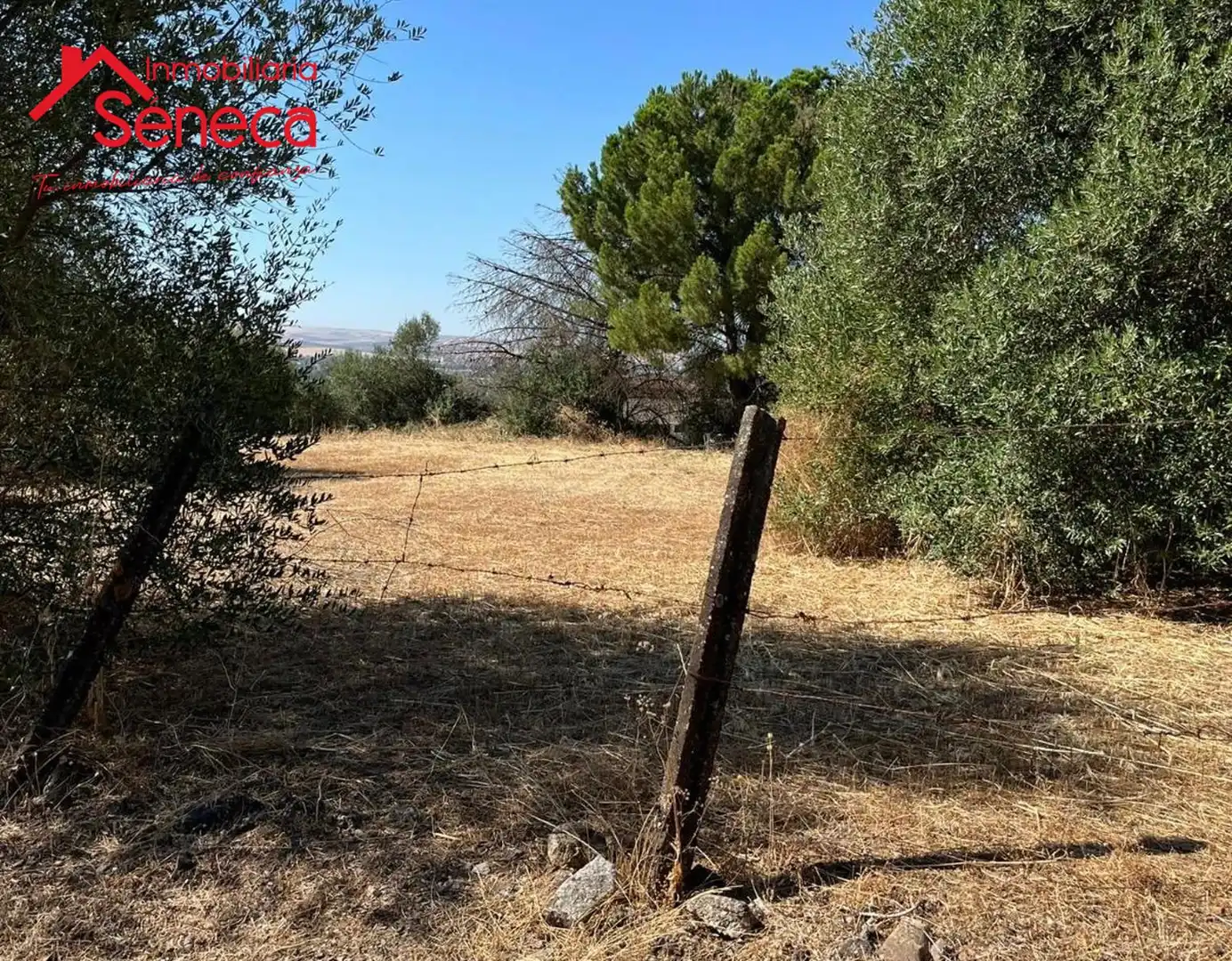Rustikales Grundstück zum Verkauf in CASILLA DEL  AIRE
